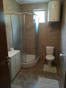 a bathroom with a shower and a toilet and a sink at Etno kuća Stari Dud in Erdut