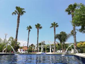 Bazén v ubytování Hotel Paclà nebo v jeho okolí