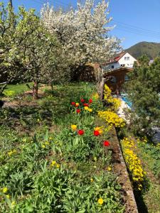 a garden with colorful flowers in front of a house at Ferienwohnungen Ries in EuÃŸerthal
