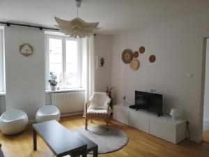 uma sala de estar com uma televisão e uma mesa em L'écrin de Masevaux em Masevaux