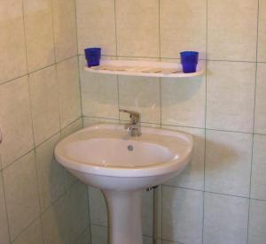 baño con lavabo y 2 tazas azules en un estante en Vedmid, en Ludvikuvka