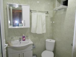 Koupelna v ubytování Guest House T&N