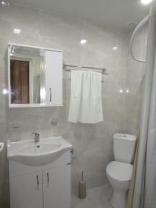 Koupelna v ubytování Guest House T&N