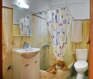 a bathroom with a sink and a toilet and a shower curtain at Evaland Traditional Houses in Tarti