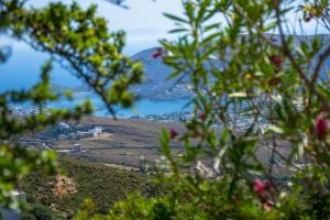 a view of a city from a hill at Villette Adonis Andros in Andros