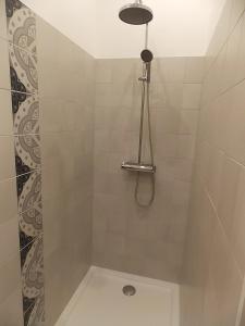 a bathroom with a shower with a shower head at Les Gîtes De Morville in Malaumont