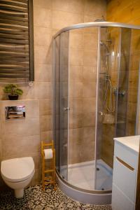 une cabine de douche dans une salle de bain avec toilettes dans l'établissement GOLDEN ROOMS blisko Energylandii, à Zator