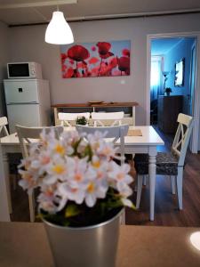 Kuchyňa alebo kuchynka v ubytovaní Strigonia Apartman