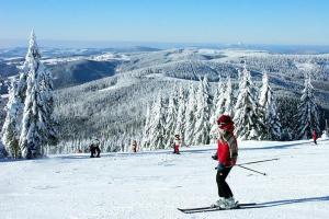 Hostia v ubytovaní Apartmány Ski Lift