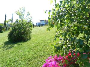 Zahrada ubytování Hotel Garazar