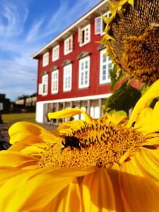 Afbeelding uit fotogalerij van Oslo Hostel Rønningen in Oslo