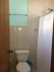 a bathroom with a toilet and a shower at Hotel El Pacifico in Morelia