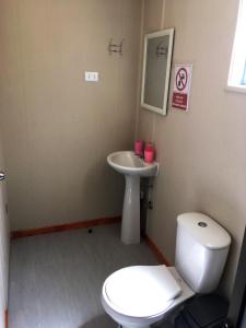 a bathroom with a white toilet and a sink at Casa Ollagua in Vicuña