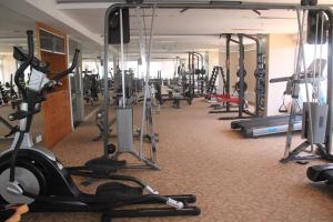 Fitness centrum a/nebo fitness zařízení v ubytování Dendro Gold Hotel