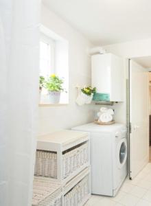 A kitchen or kitchenette at Trulli Francesca Ciclovia