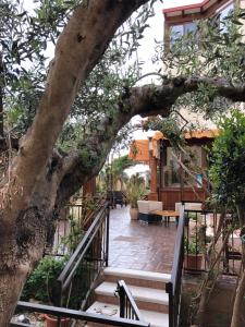 a large tree in front of a house at Krimar Hotel in San Vito lo Capo