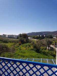 a view from a balcony with a blue railing at Karabo Hotel in Livadi Astypalaias