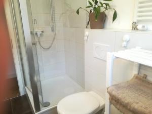 ein Bad mit einer Dusche, einem WC und einem Waschbecken in der Unterkunft Schnuckelige Ferienwohnung - Nähe Europapark in Ettenheim