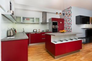 Kuchyň nebo kuchyňský kout v ubytování Fashionable Apartments Flora