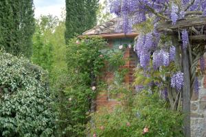 A garden outside Chiarentana di Donata Origo