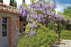 A garden outside Chiarentana di Donata Origo