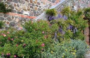 A garden outside Chiarentana di Donata Origo