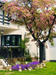 a tree with pink flowers in front of a house at Pilot's Manor - Airport Villa in Velika Gorica