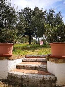 Zahrada ubytování Villa L'Oleandro