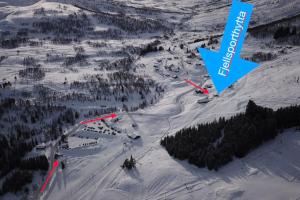 an aerial view of a snow covered mountain with trees at Fjellsporthytta nr. 4 in Sogndal