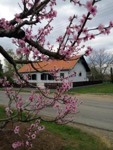 Budova, kde se penzion nachází