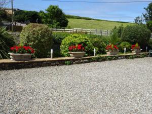 a row of flowers in pots on a gravel driveway at Yr Hen Felin - The Old Mill B&B in Morfa Nefyn
