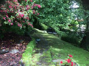 a garden with pink flowers and a path at Yr Hen Felin - The Old Mill B&B in Morfa Nefyn