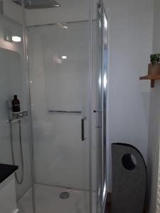 ニオールにあるUn Appart en Villeのバスルーム(ガラス張りのシャワー、椅子付)