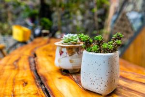dos jarrones blancos con plantas en ellos sentados en una mesa de madera en Sure I Do全景山宿 en Yangshuo