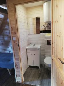 a small bathroom with a toilet and a sink at Domek letniskowy MarMar in Pierkunowo