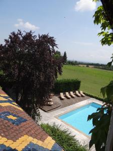a swimming pool with lounge chairs next to a field at Auberge Des Chasseurs in Échenevex