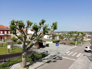 a tree on the side of a street at Flat 23 in Bombarral