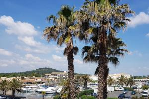 two palm trees in a parking lot with a marina at Port Nature Village Naturiste in Cap d'Agde