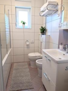 een badkamer met een toilet, een wastafel en een raam bij Cornial in Pula