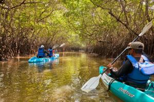 a group of people kayaking through a mangrove forest at Taj Exotica Resort & Spa, Andamans in Havelock Island