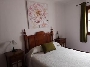 Un dormitorio con una cama con una almohada verde. en Pensión Venta Julián HCA01134 en El Bosque