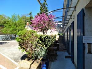 an outdoor patio with tables and trees with pink flowers at Castel Fleuri in Tours
