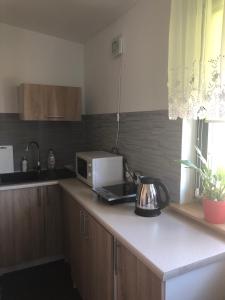 Kuchyňa alebo kuchynka v ubytovaní Apartamenty Maria