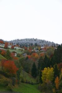 Příroda nedaleko hotelu