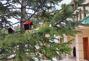 Gallery image of Apartmani Bijelic in Žabljak