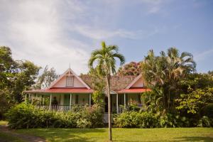 a house with a palm tree in front of it at Balenbouche Estate in Laborie