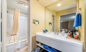 a bathroom with a sink and a mirror at Hotchkiss Inn Motel in Hotchkiss