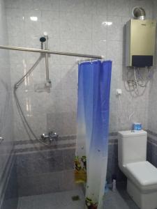 Areni Tavern-B&B في Areni: حمام مع دش ومرحاض