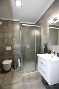 a bathroom with a shower and a toilet and a sink at Apartment Klostermann 006 in Železná Ruda +20 photos