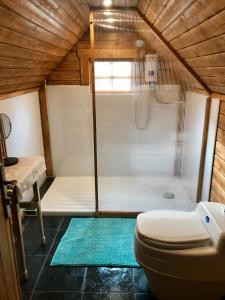 a bathroom with a shower and a toilet and a tub at The Nest Glamping Pod in Dalmally